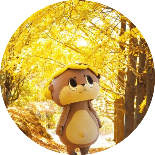 マスコットキャラクターしんじょう君