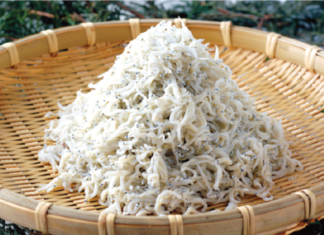 藤沢市：湘南しらす（釜揚げしらす等）.png