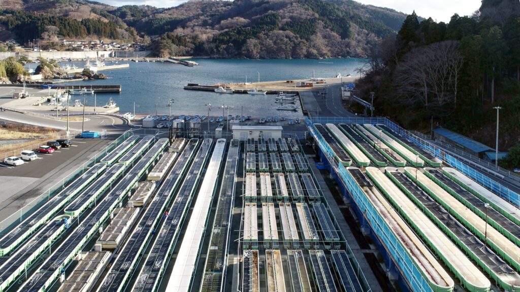 水槽が並ぶ元正榮北日本水産