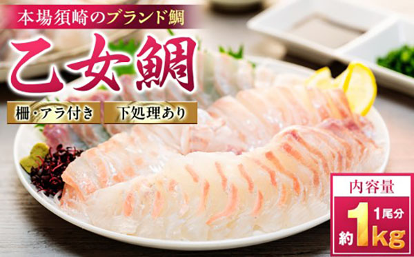 乙女鯛刺身用柵 アラ付き1尾分